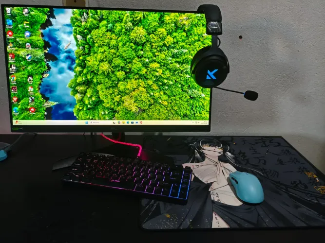 Pc Gamer com Monitor