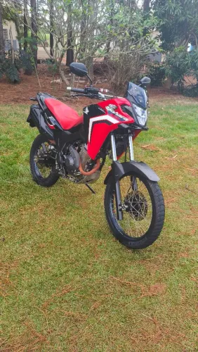 Sahara 300 rally