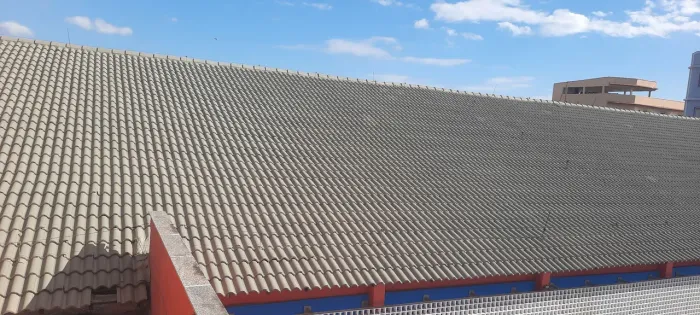 Limpeza e pintura de telhados em Geral 