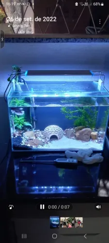 Aquário de vidro 20L com acessórios 