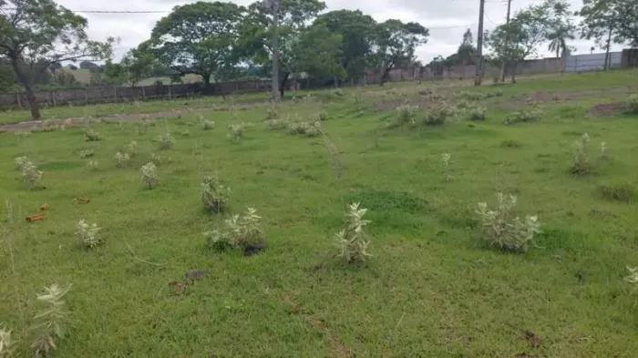 Lote 597m² | DESOCUPADO | Pérola-PR | Parque Residencial Viva - Amplo Terreno com Excelent