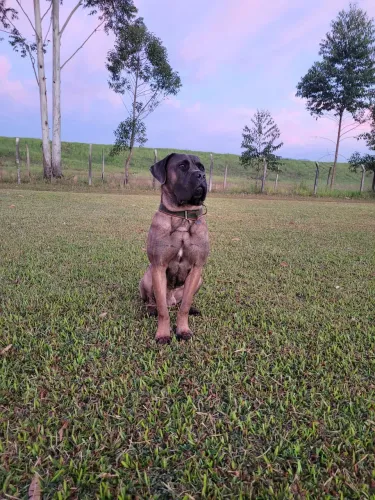 Orion quer namorar