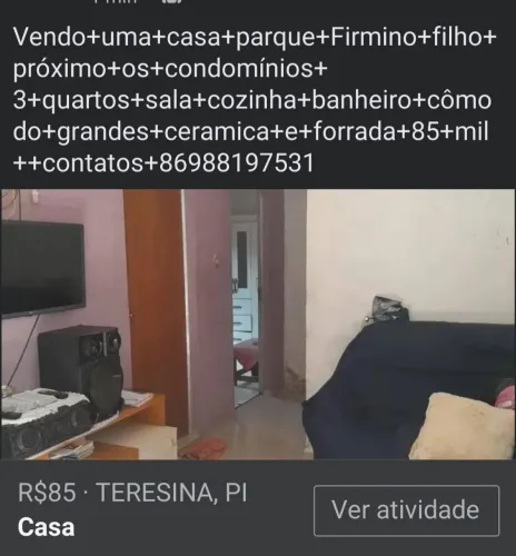Contato *31