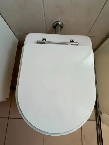 Vendo 2 Vasos Sanitários Celite (sem caixa acoplada)