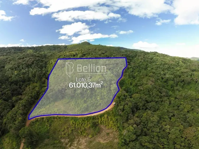 Mais de 6 hectares para quem pensa no próximo passo, terreno em Ribeirão Coração, Benedito