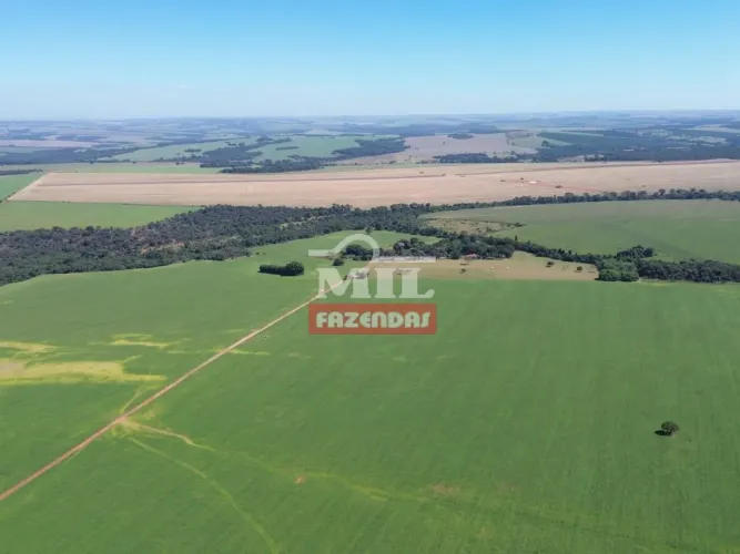 Fazenda em Gameleira de Goiás - 50alq (242Há)