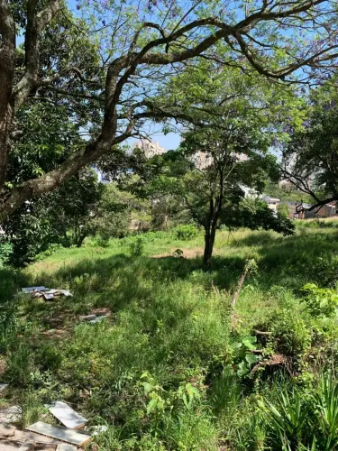 Terreno à Venda  Excelente Oportunidade na Zona Sul de SP