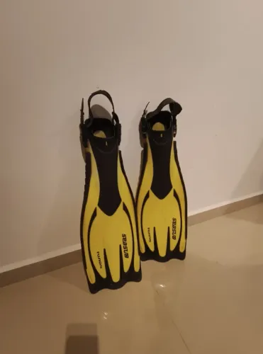 NADADEIRA PROFISSIONAL MERGULHO