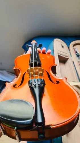 VIOLINO PARROT