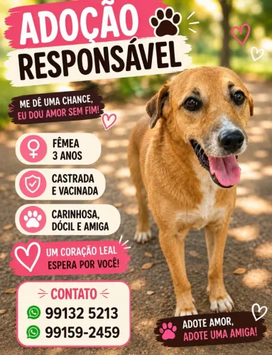 Adoção responsável