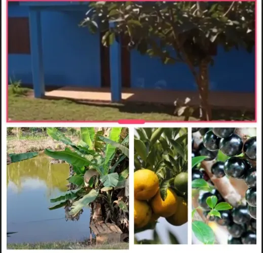 Chacara com poço de peixe 