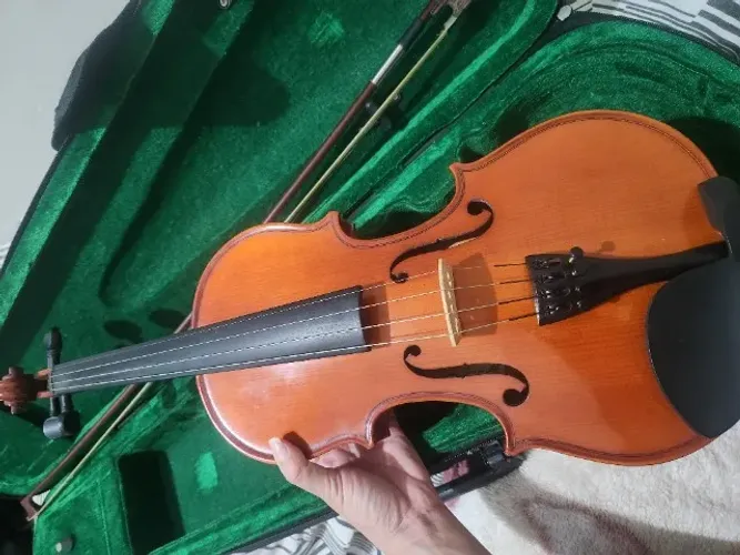 VENDO VIOLINO GIANNINI GIV 4/4