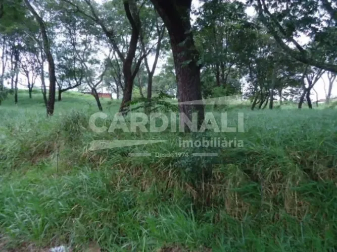 Terreno Padrão em São Carlos