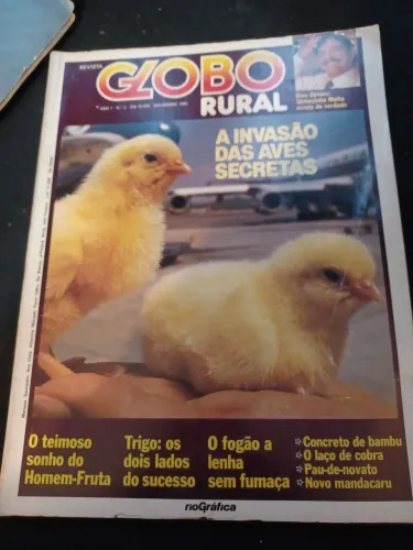 Revista Globo Rural n2