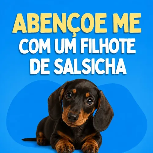 Doação de salsicha 