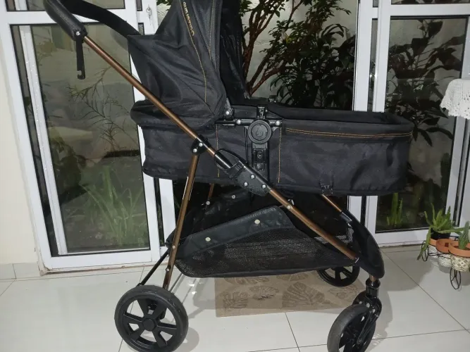 Carrinho de bebê Moisés Galzerano