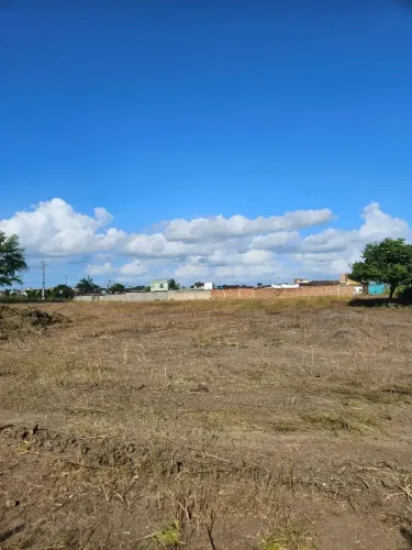 Achei!!! Terreno em excelente localização em Limoeiro/Otácio de Lemos, com 4.556,28 m2 - P