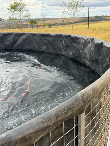 Tanque pra camarão ou peixe 8 metros