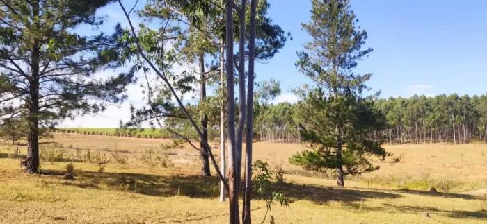 Terreno 27.700 mil m² - Aguas de São Pedro SP
