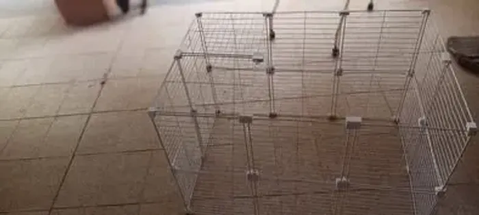 Cercado aramado