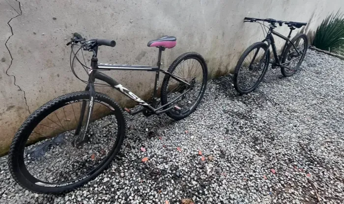 Bicicleta