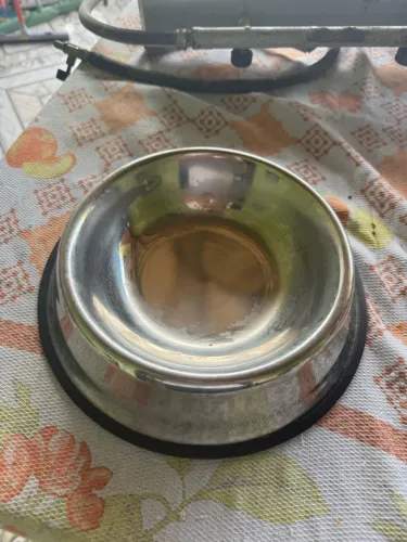 Dois Potes de ração/ água para cachorro/ gato