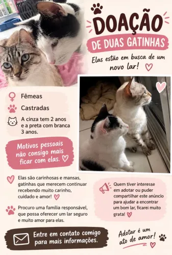 Doação de Gatas Castradas