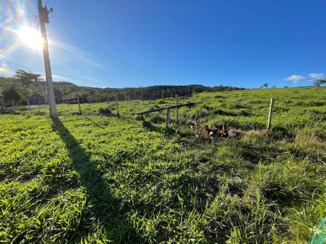Fazenda em Vianopolis-goias