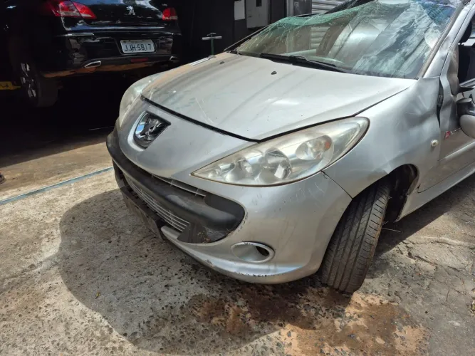 Peugeot 207 Quiksilver 1.4 Flex 8V 5P 2010