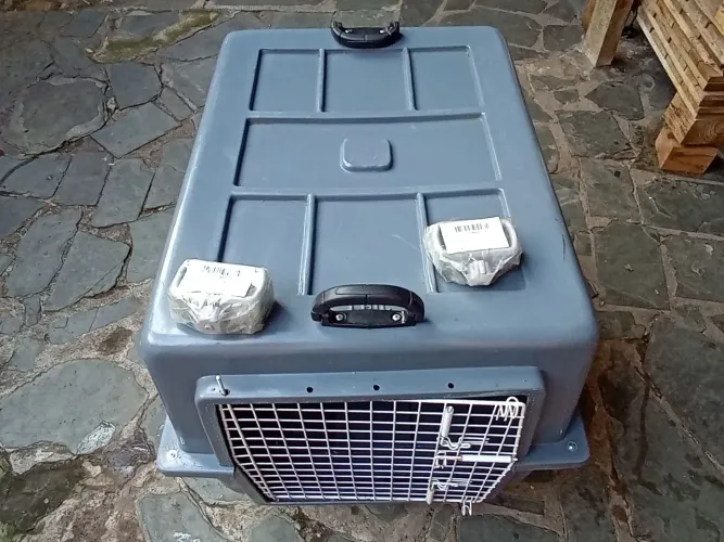 Caixa para transporte caes