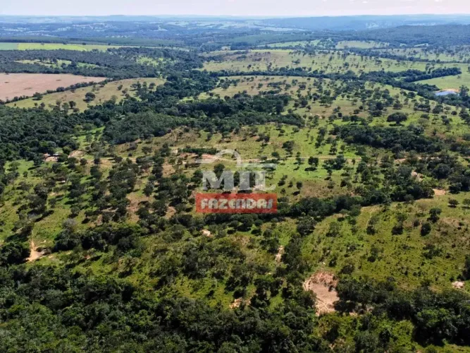 Fazenda 29 Alqueires (141 hectares) Urutai - Go