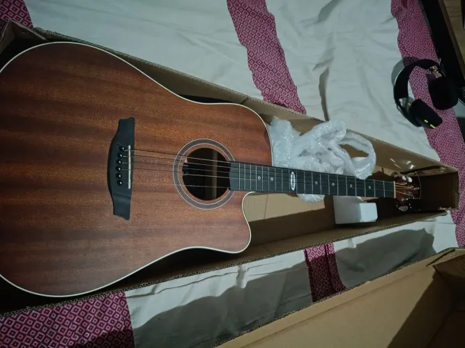 Steinberg black series SD200C