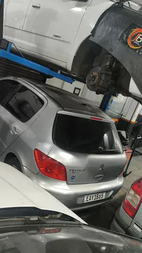 Peugeot 307 Feline/griff/premi. 2.0 Flex 5P Aut. 2008