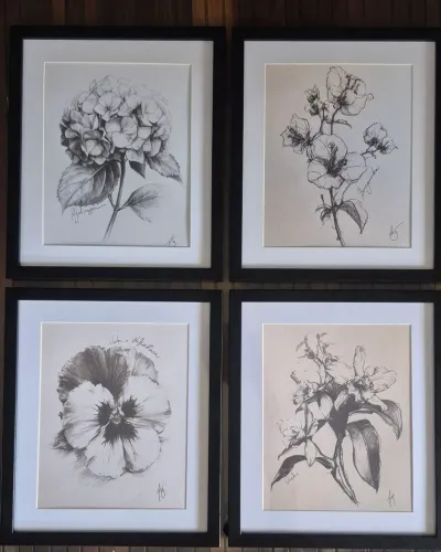 Quadros estilosos de desenhos botânicos.