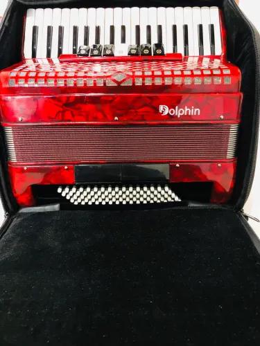 Sanfona Dolphin 80 baixo