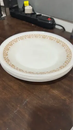 4 pratos opalina TERMORAY brancos com ramos marrons rarissimos 