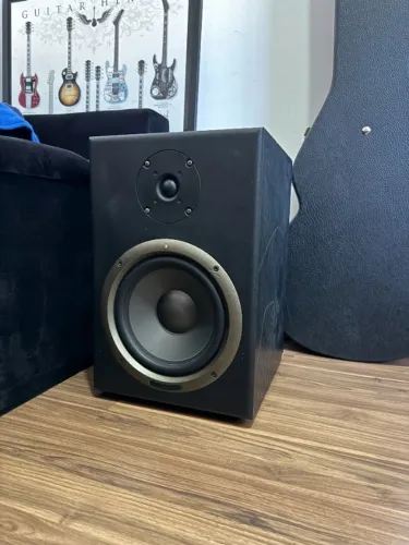 Monitor Referência Sound King Mt 800a Ativo