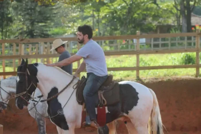 CAVALO PAMPA DE PRETO - 9 anos - Raça: Mangolina - pelagem: pampa de preto - JEQUITIBÁ-MG