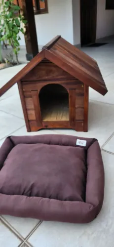 Casinha cachorro