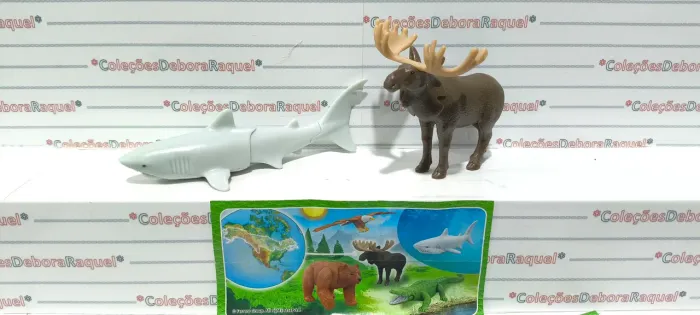 Kinder Maxi natoons (importados)