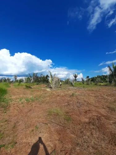 CHÁCARA 5.000 m² COM RIO - PRÓXIMA À BR - CAR + GEORREFERENCIAMENTO