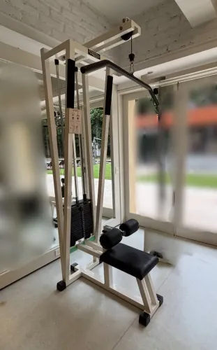 Puxador Alto (Lat Pull Down) Technogym