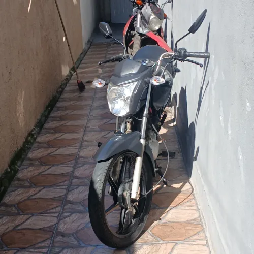 Fan 2015