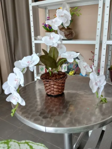 arranjos orquideas