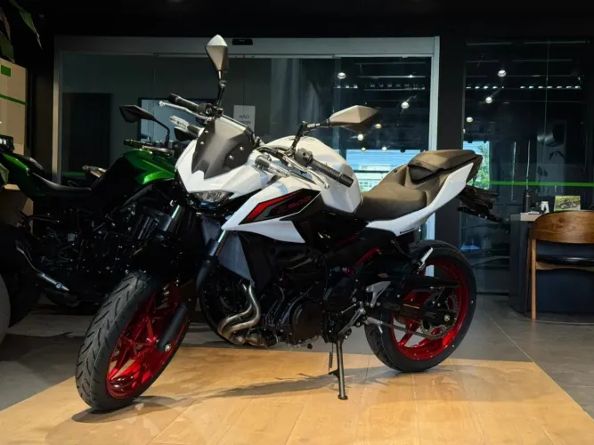 Kawasaki Z 500 SE