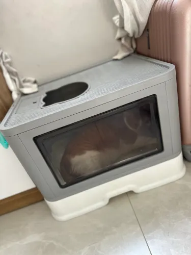 Caixa de areia para gatos