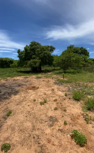Terreno em Barra do Cunhaú prox ao Mirante