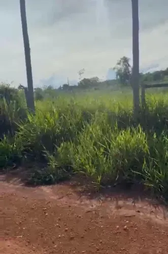 Chácara na estrada da produção. 1000m2