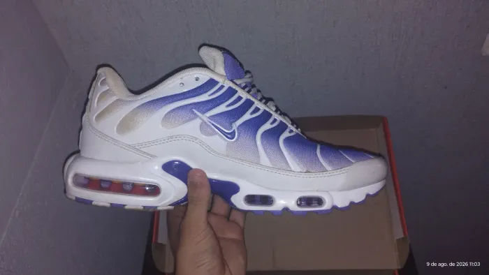 Tn Purple Dragon