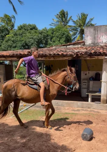 Potra com 2 anos mansinha